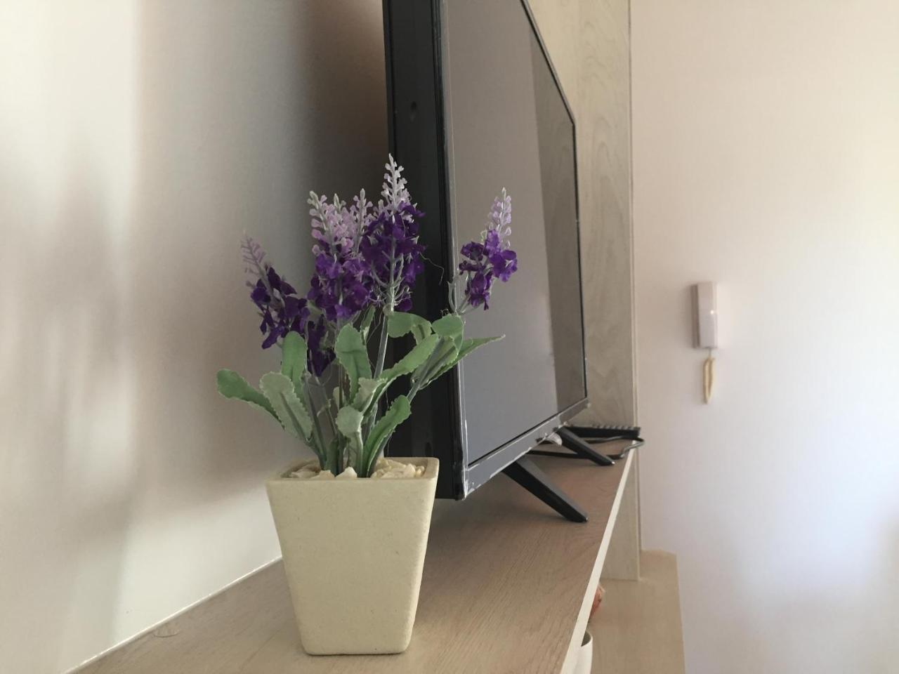 Apartamentos Irigoyen San Rafael Dış mekan fotoğraf