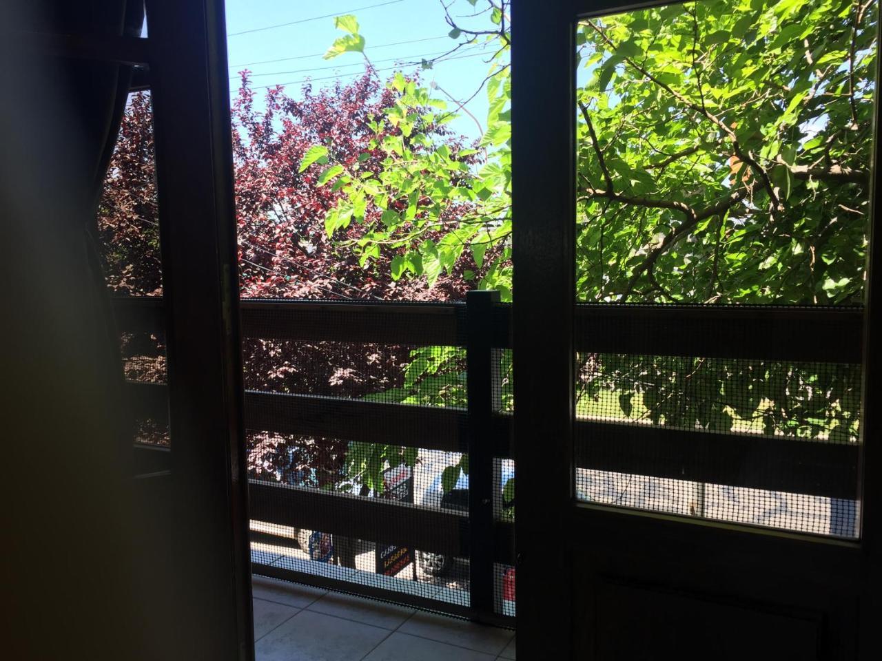 Apartamentos Irigoyen San Rafael Dış mekan fotoğraf