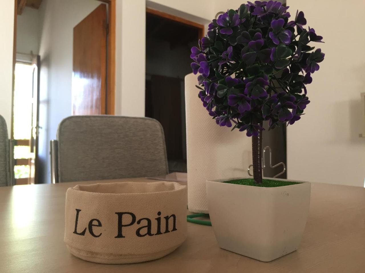 Apartamentos Irigoyen San Rafael Dış mekan fotoğraf